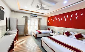 Chitwan Forest Resort With Swimming Pool , Chitwan National Park
